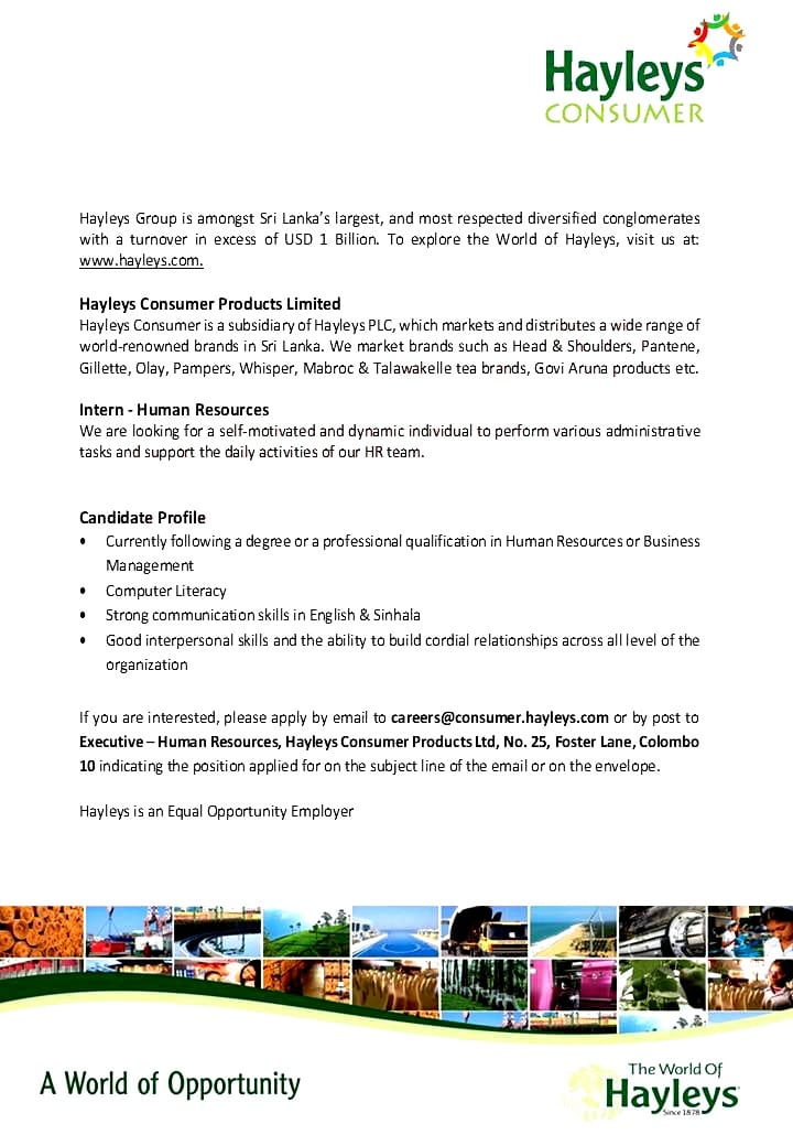 Intern Human Resources BEST JOBS Visit